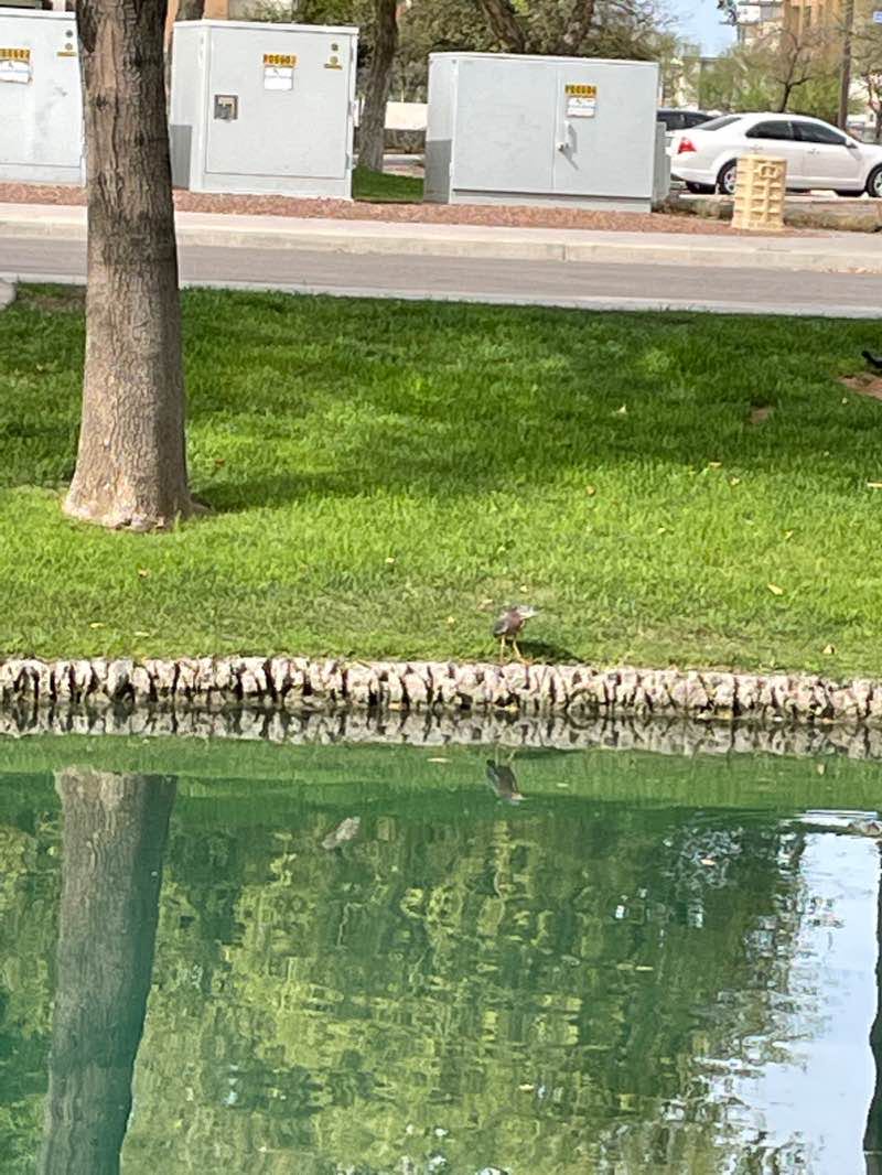 walking near me in Vermont Park in winter