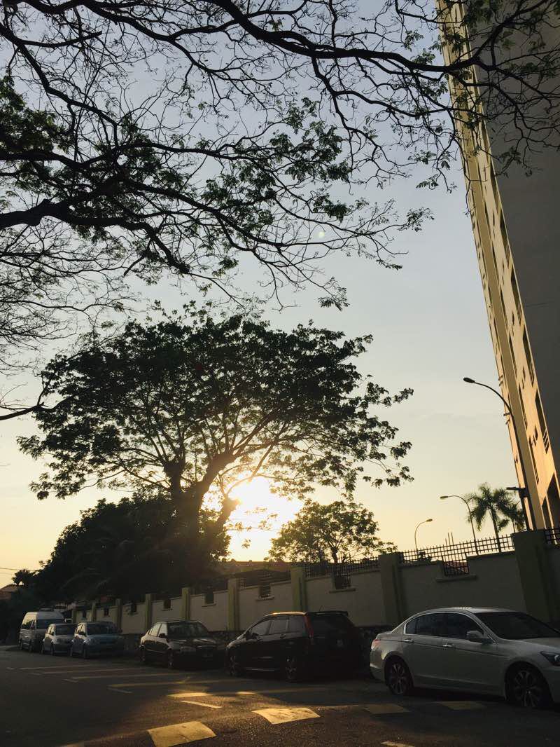 walking near me in USJ6 Recreation Park in winter