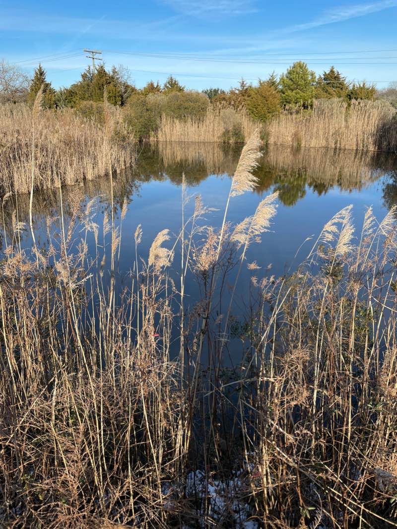 walking near me in Air Power Park in winter