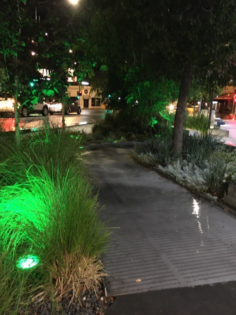 walking near me in Kardinia Park in summer