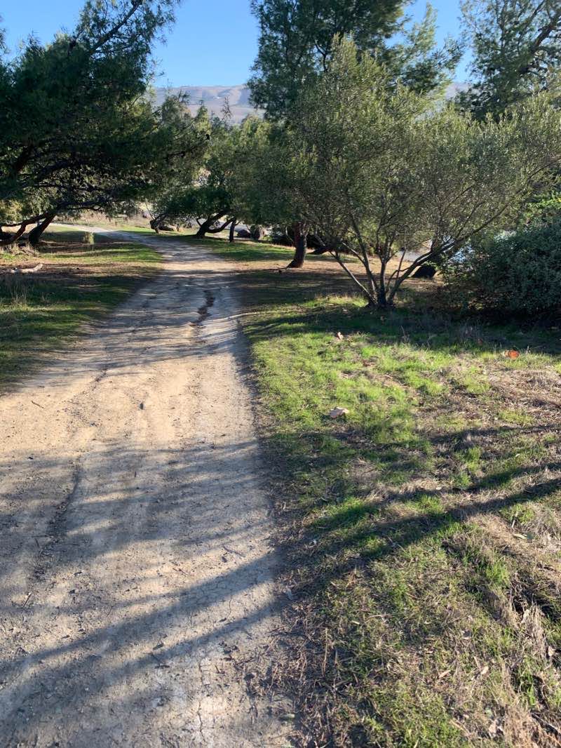 walking near me in Lake Cunningham Park in winter