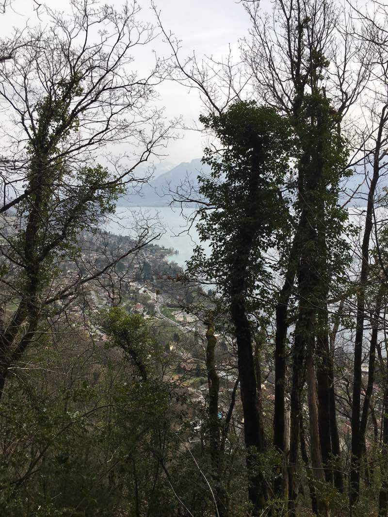 walking near me in Les Jardins de l'Europe in winter
