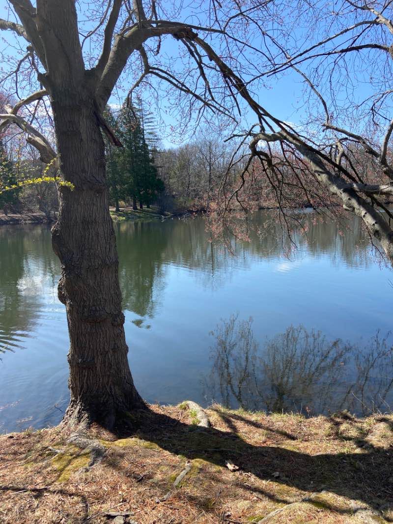 walking near me in Furlong Park in winter