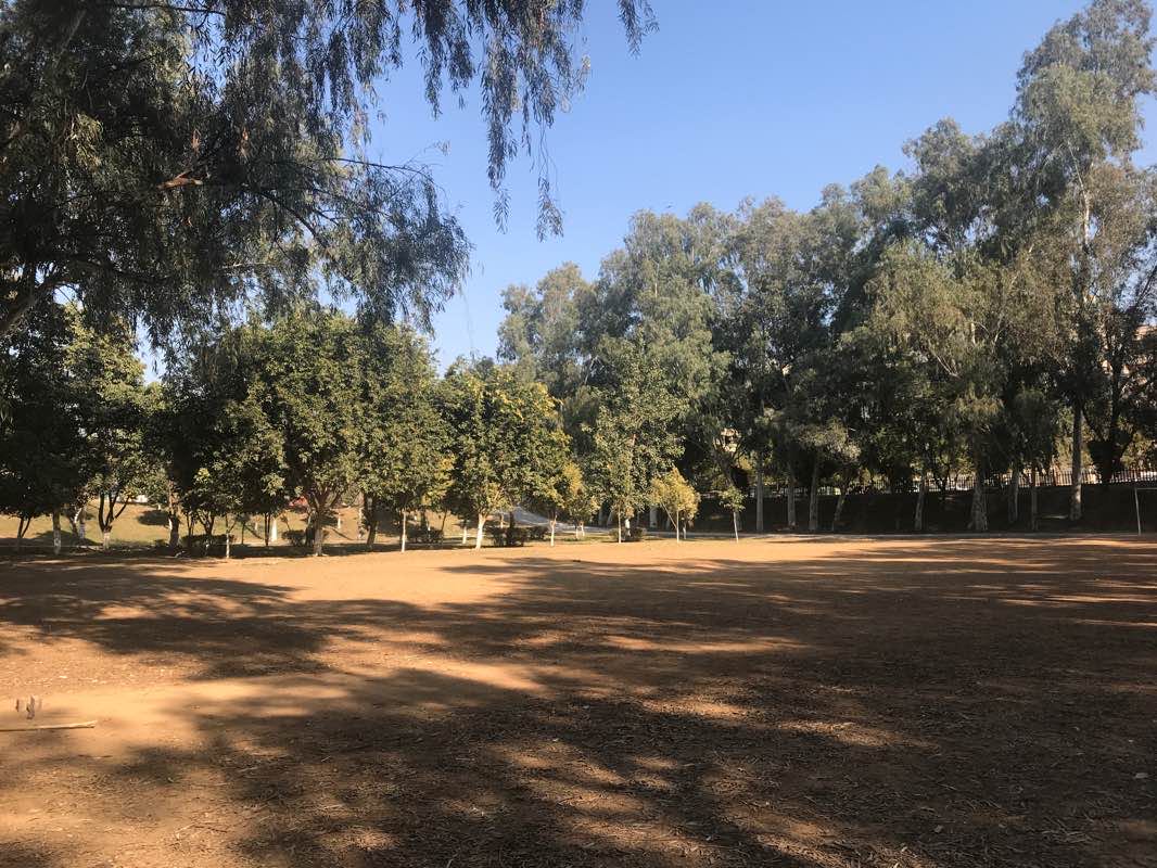 walking near me in F-11 Markaz Park in winter