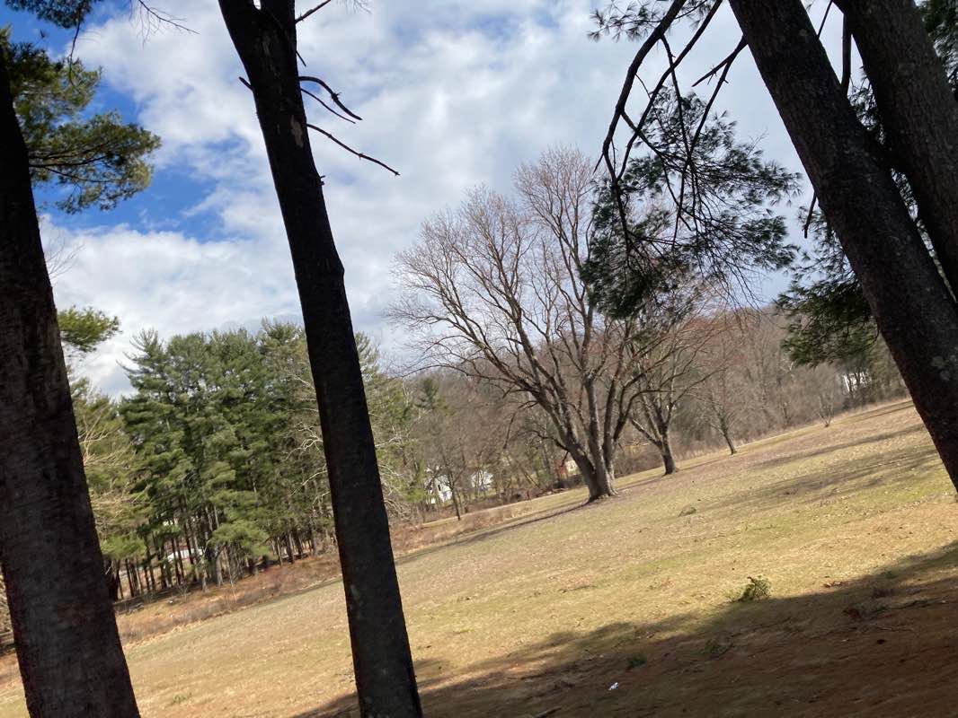 walking near me in Harrybrooke Park in winter