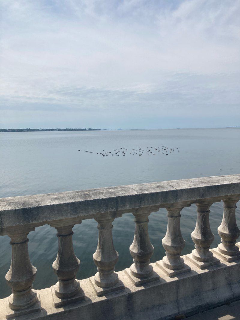 walking near me in Fred Ball Park in winter
