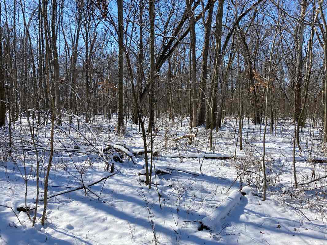 walking near me in Glen Travis Park in winter