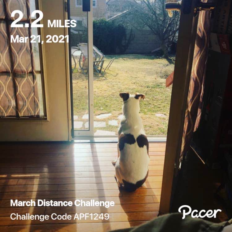 lumbar Spinal Fusion post 1