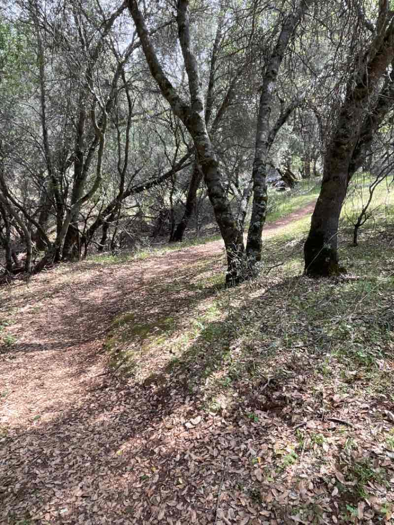 walking near me in Columbia State Historic Park in winter