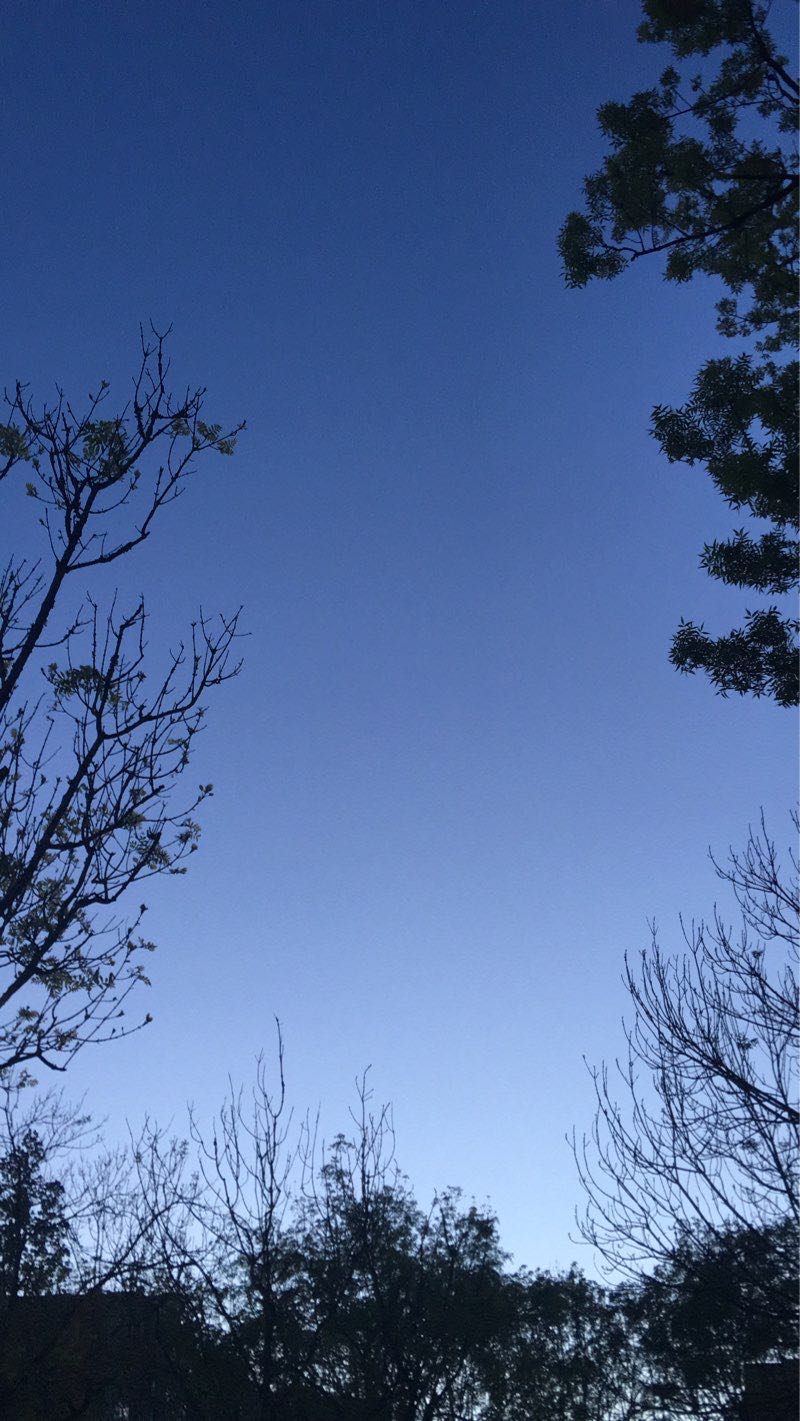 walking near me in Alameda Arquitecto Sesmeros in winter