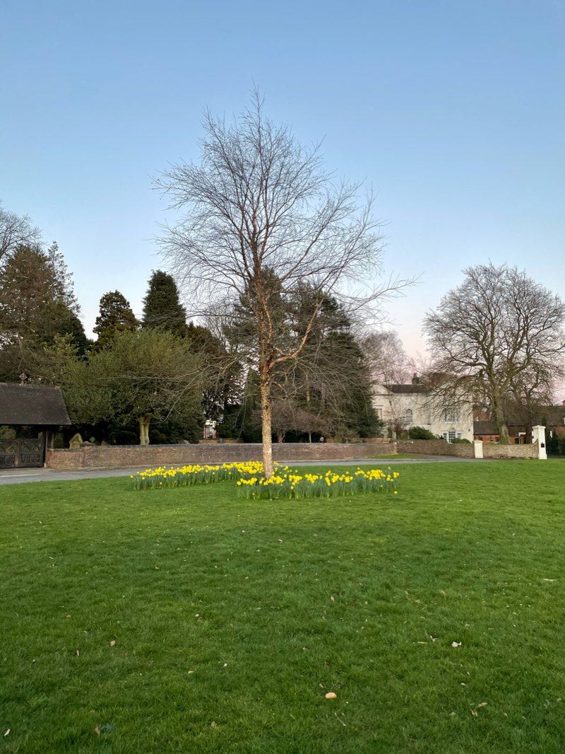 walking near me in The Croft in winter