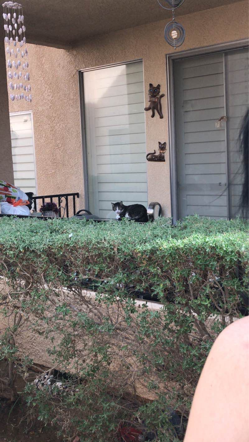 walking near me in Sunset Park in winter