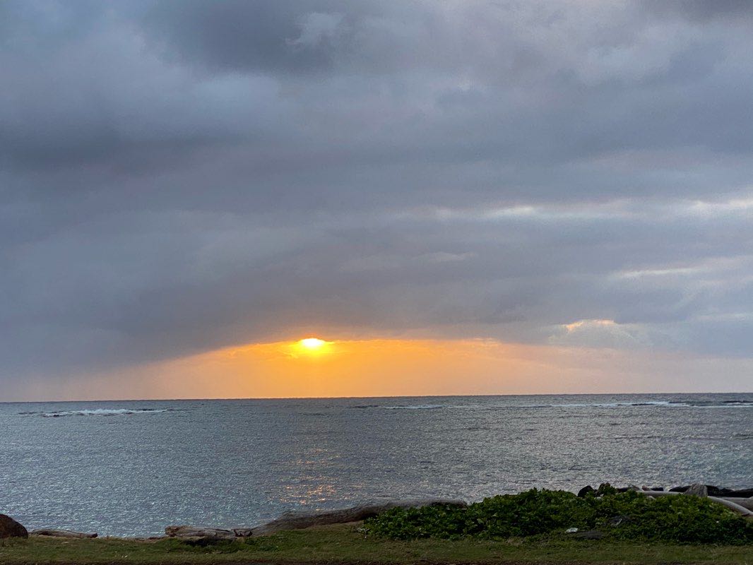 walking near me in Waipouli Park in winter