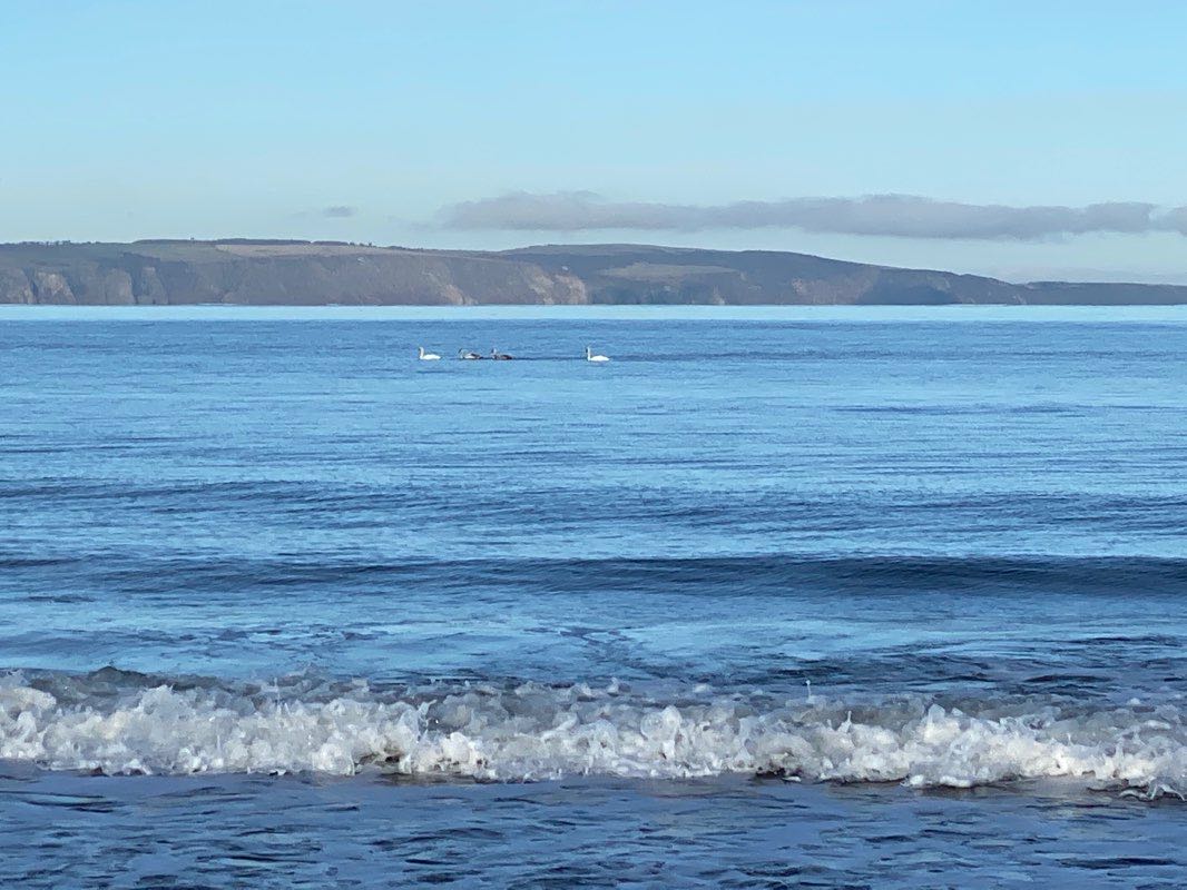 walking near me in West Links in winter