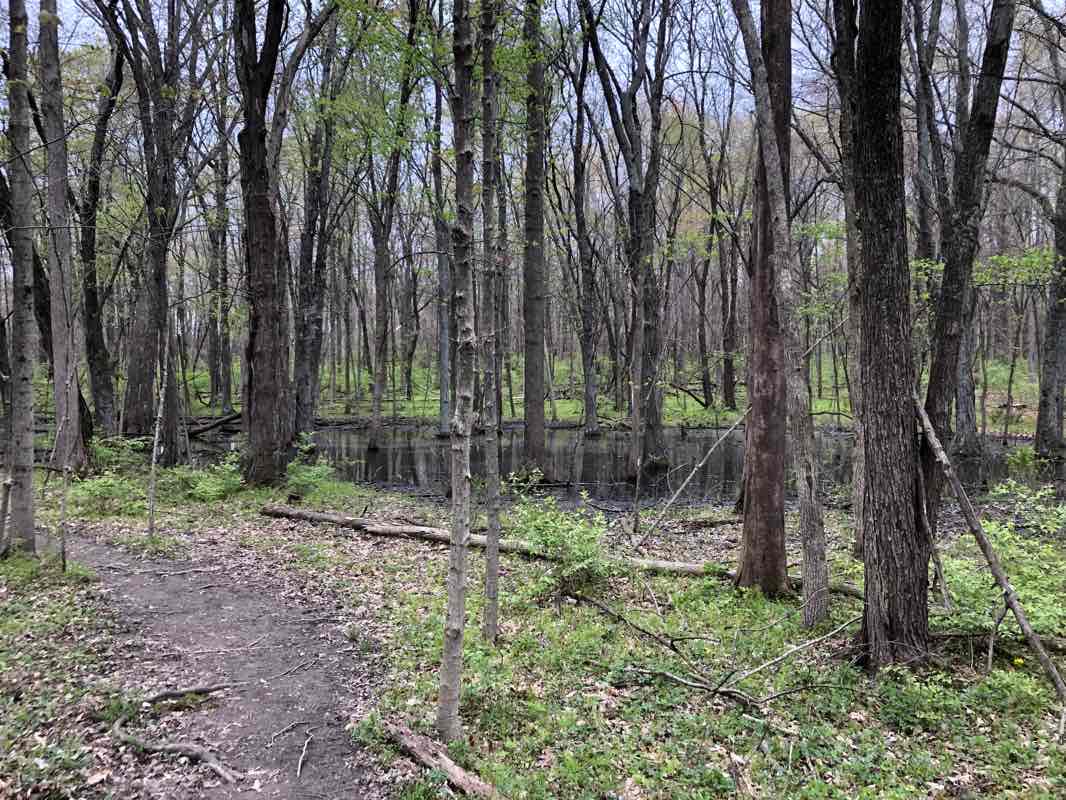 walking near me in Gallant Woods Farm in winter
