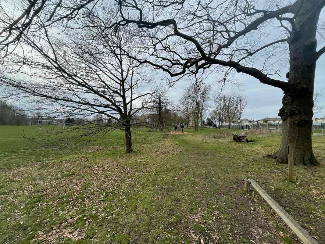 walking near me in Dowding Park in winter