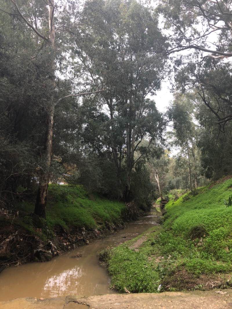 walking near me in Parque Dehesa Doña María (Sur) in winter