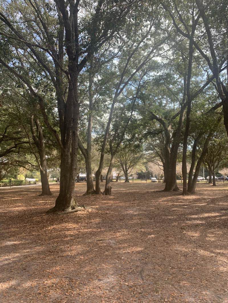 walking near me in Chapin Station in winter