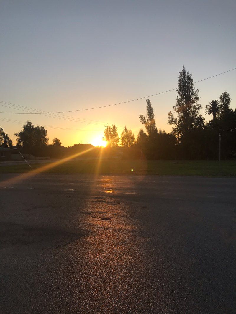 walking near me in Mountford Park in summer