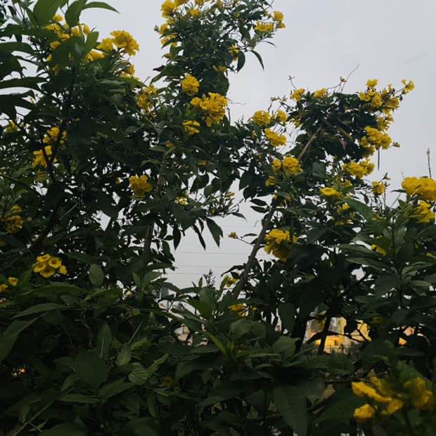 Naveenkumargt post 2