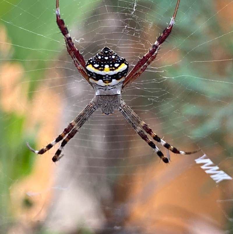 Naveenkumargt post 1