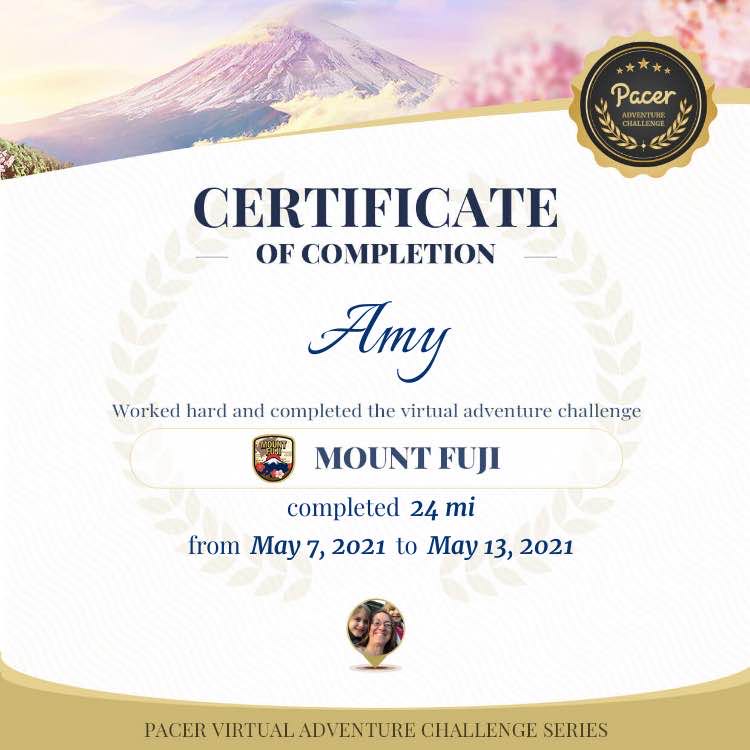 Step In the Name of Fitness Amy post image