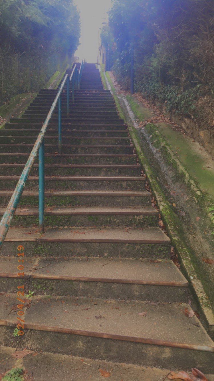 walking near me in Parc urbain in winter