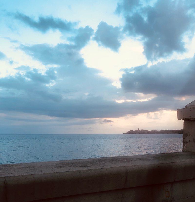 walking near me in Parque Antonio Maceo in winter