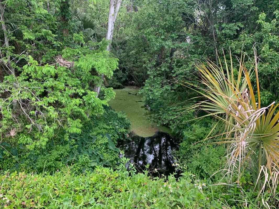 walking near me in Bailey Riverbridge Garden in winter