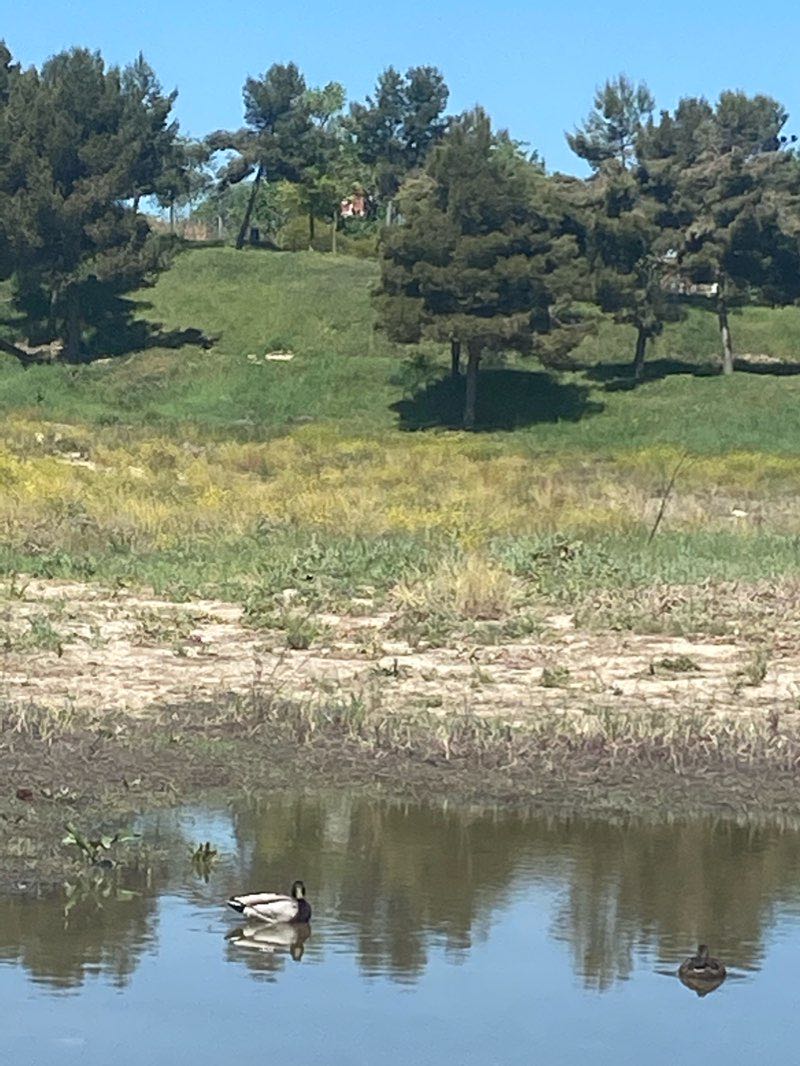 walking near me in Parque de la Olla in winter