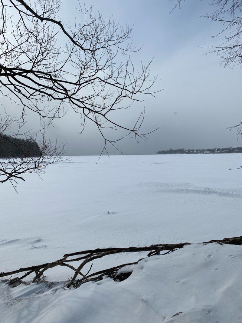 walking near me in Rotary Park in winter
