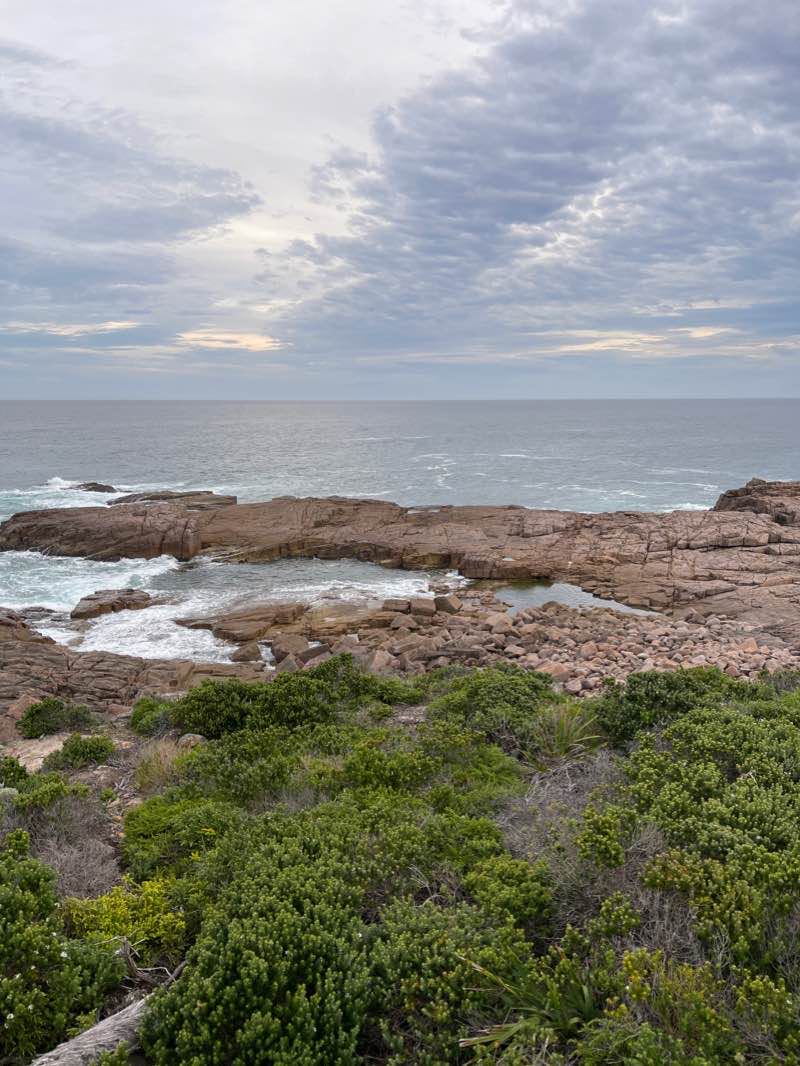 walking near me in Bangalee Reserve in summer