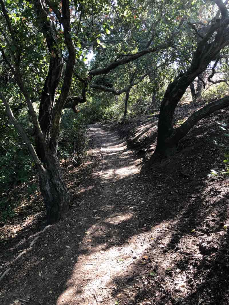 walking near me in Oak Canyon Nature Center in winter
