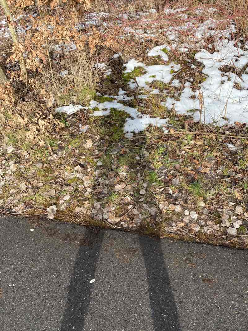 walking near me in Urban Sports Park in winter