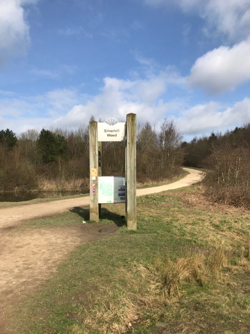 walking near me in Silverhill Wood in winter