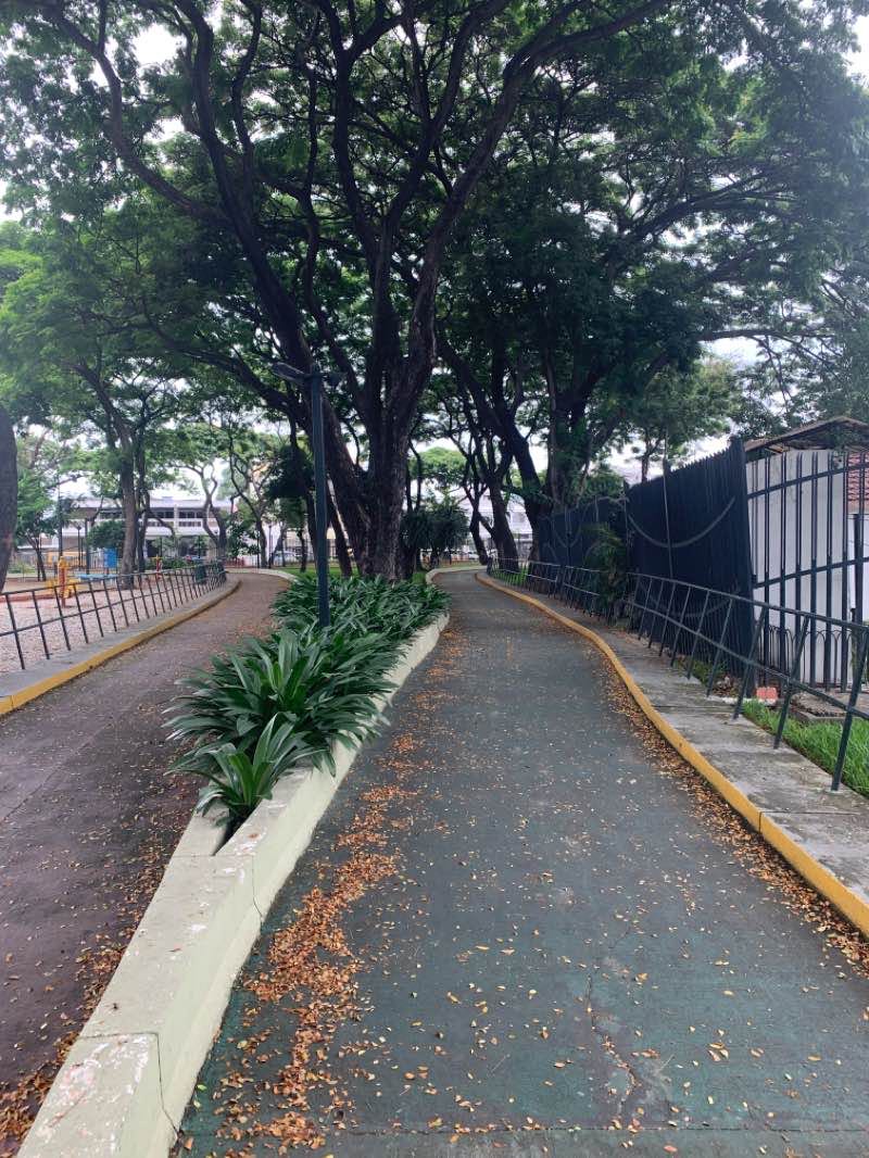 walking near me in Parque Keneddy in summer