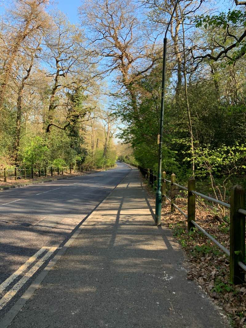 walking near me in Bursted Woods in winter