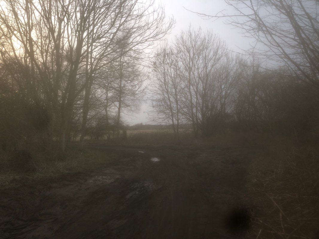 walking near me in Victoria Park in winter