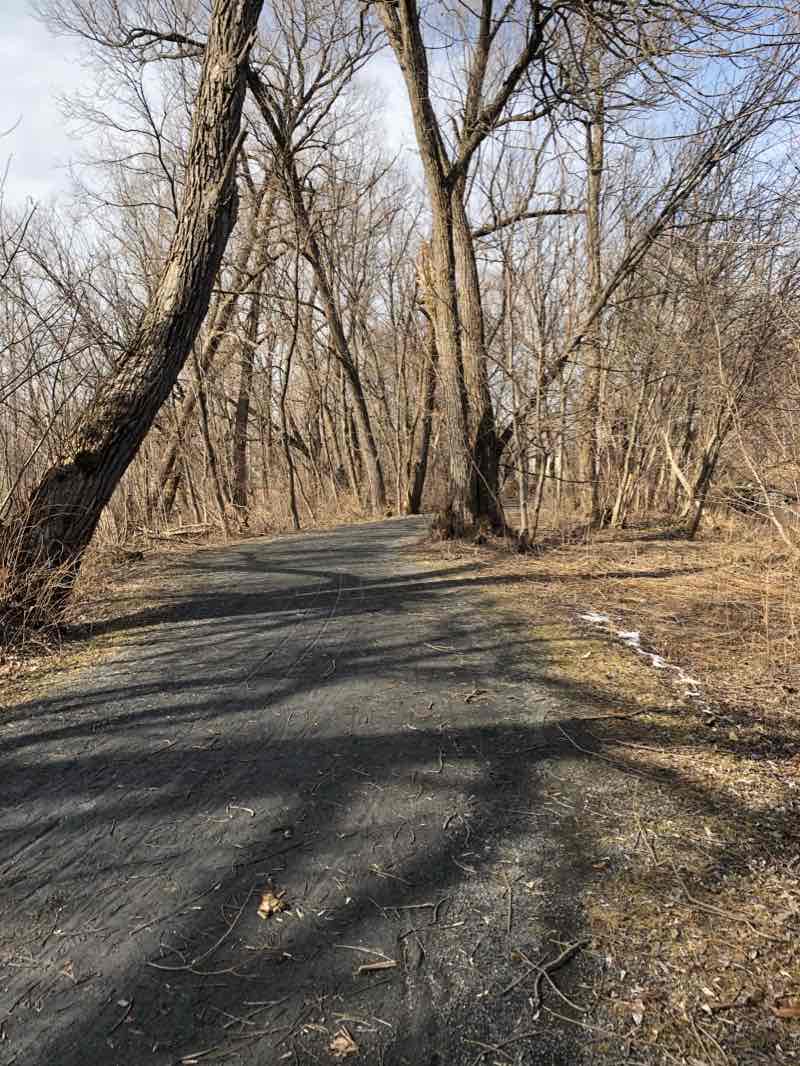 walking near me in Parc Jean-D'Avignon in winter