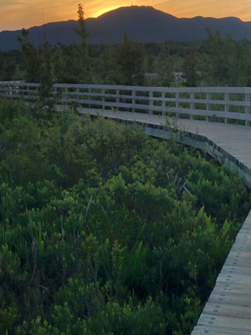walking near me in parc de la Baie-de-Magog in winter