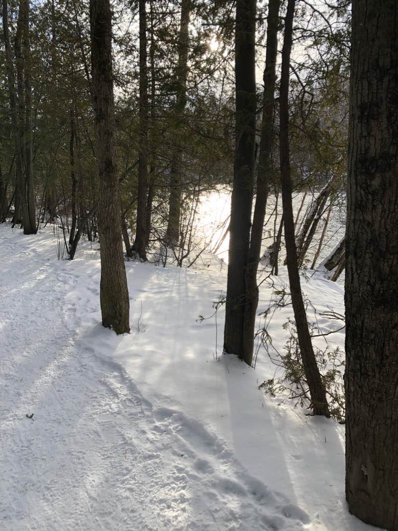 walking near me in Parc du Barrage in winter