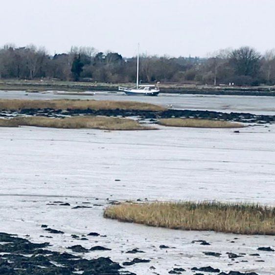 Sarah Drywood post 1