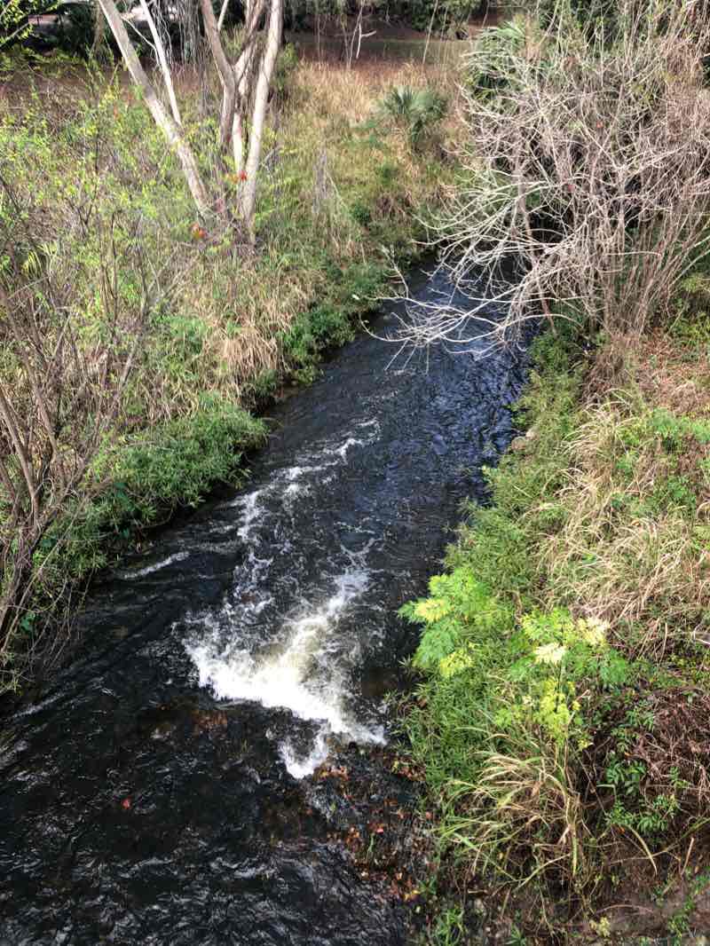 walking near me in Sanlando Park in winter
