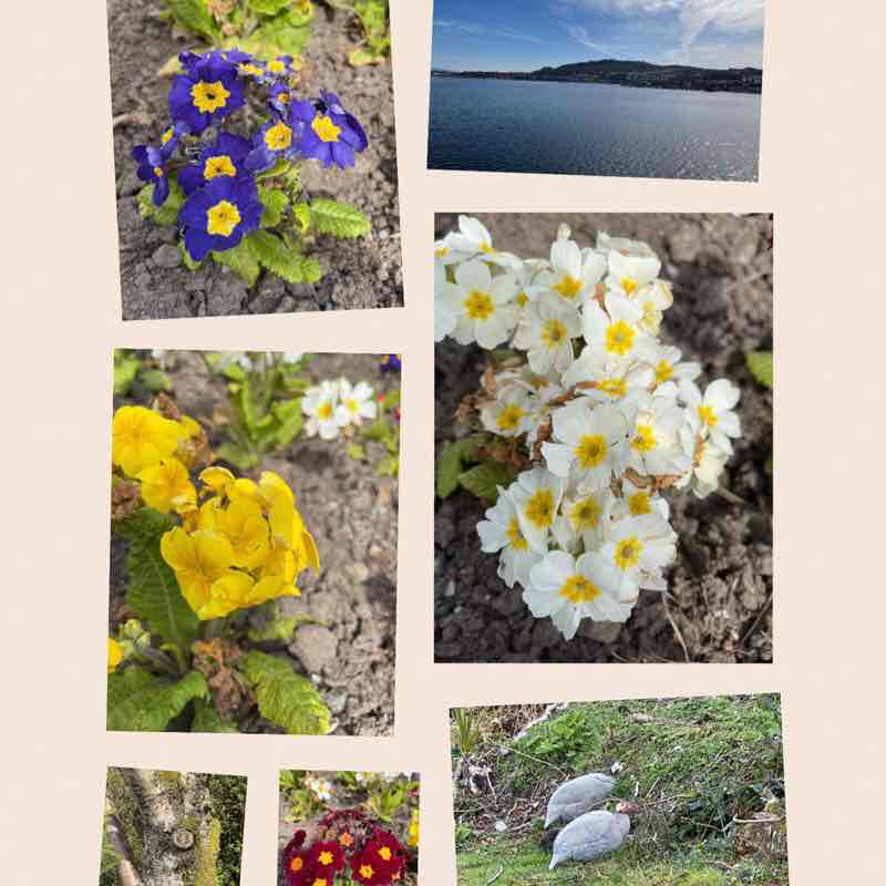 Nening Anderson post 2