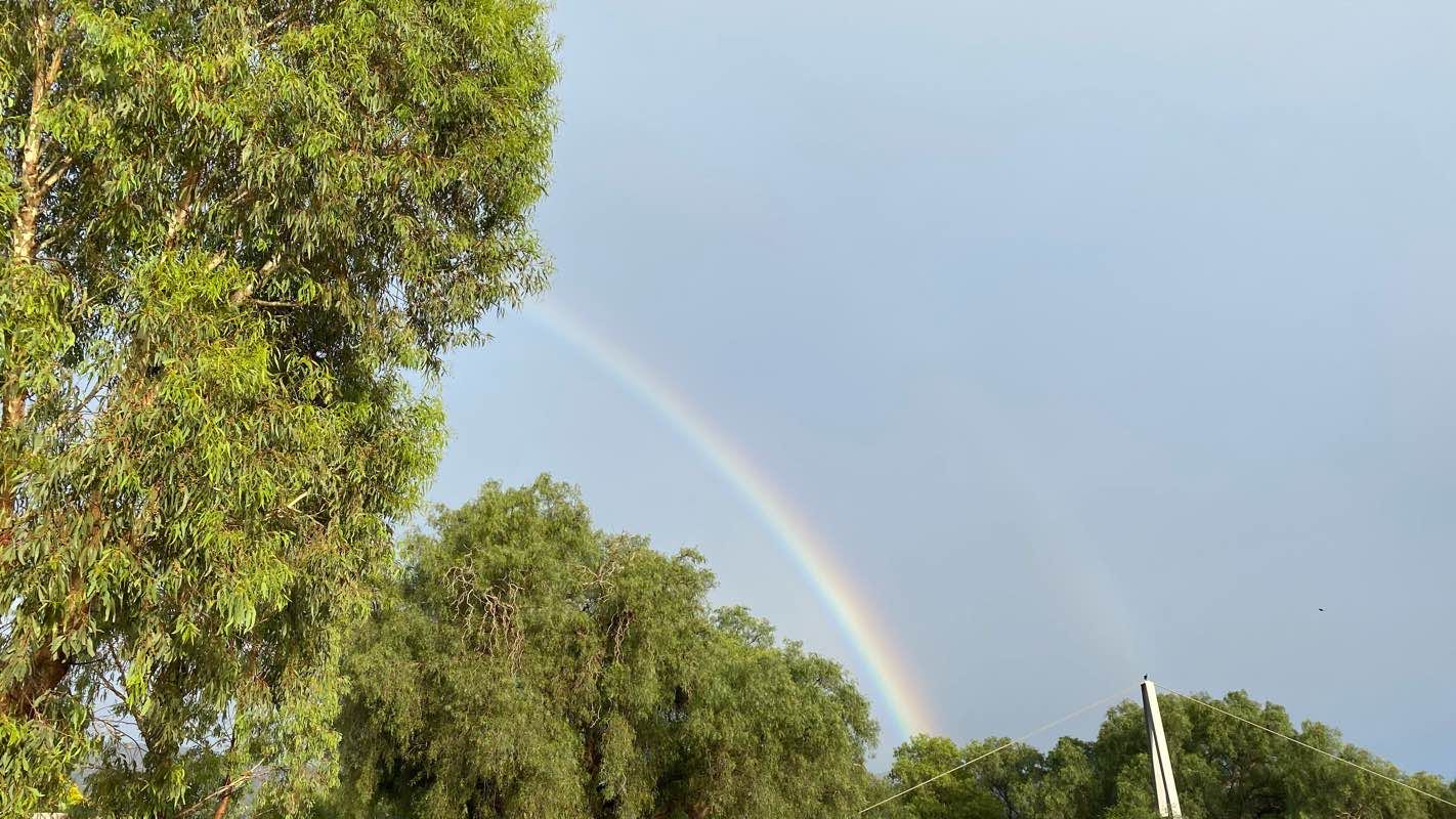 walking near me in Telford Park in summer