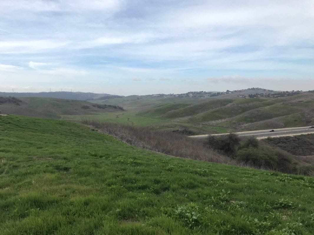 walking near me in Sunset Park in winter