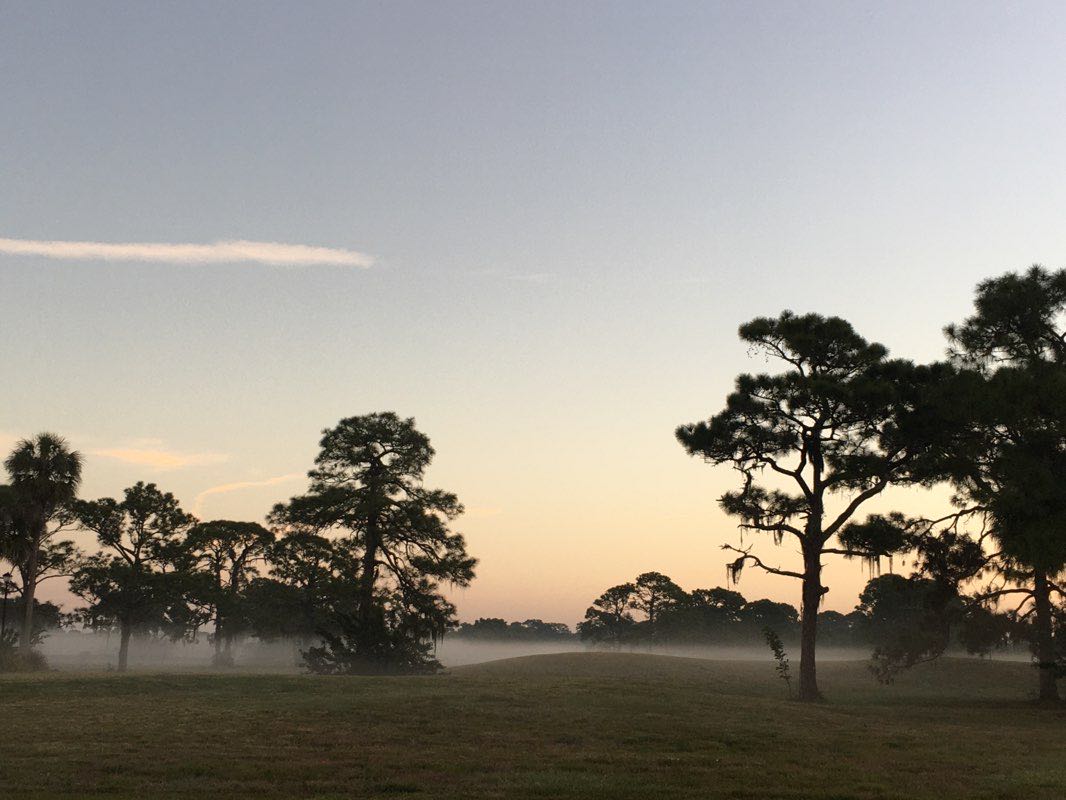 walking near me in Dallas White Park in winter