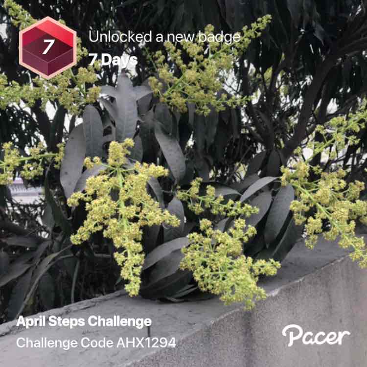 Muhammad Asif post 1