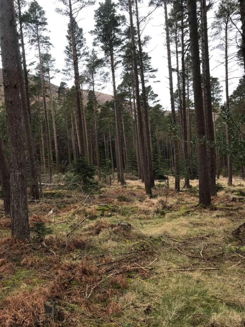 walking near me in Islands Park in winter
