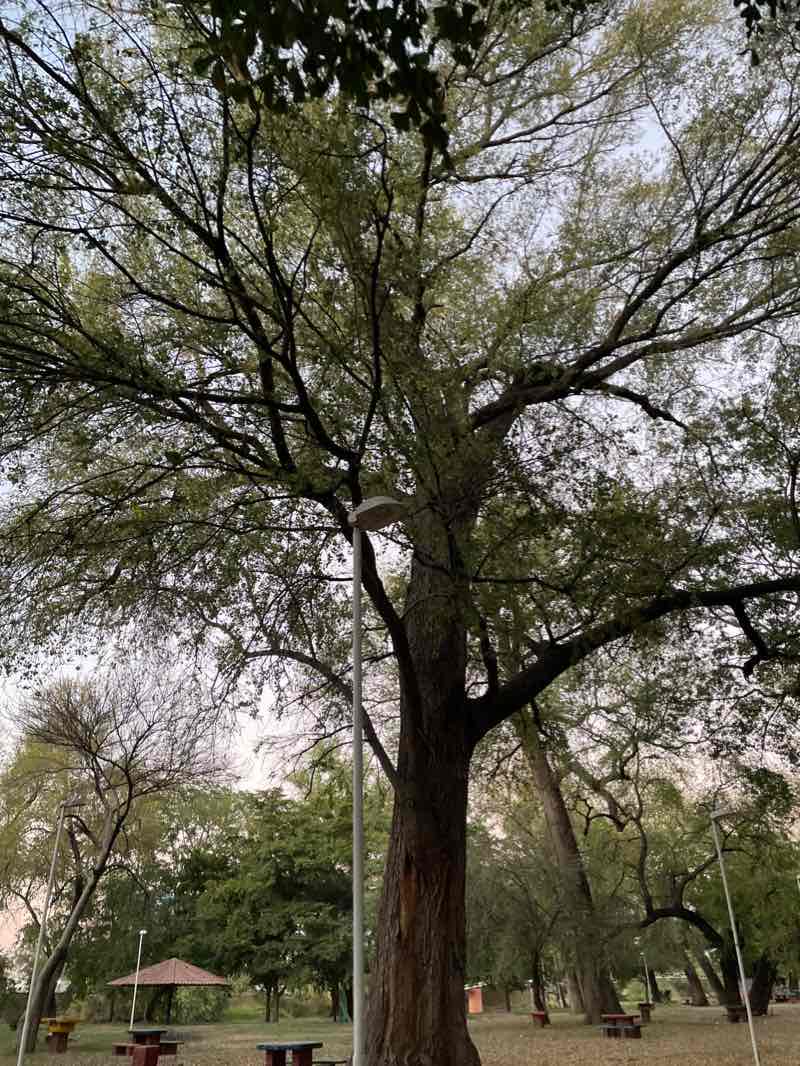 walking near me in Isla de Oraba in winter